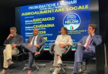 Problematiche e scenari futuri delle filiere agroalimentari locali.