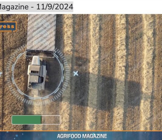 TG News Italpress – AGRIFOOD del 11 settembre – Cresce l’agricoltura 4.0 e tanto altro (Video)