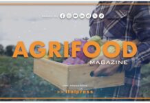 TG News Italpress – AGRIFOOD del 18 settembre – Spreco alimentare: il 50% del cibo finisce nella spazzatura … e molto altro – (Video)