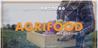 TG News Italpress – AGRIFOOD del 18 settembre – Spreco alimentare: il 50% del cibo finisce nella spazzatura … e molto altro – (Video)