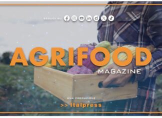 TG News Italpress – AGRIFOOD del 18 settembre – Spreco alimentare: il 50% del cibo finisce nella spazzatura … e molto altro – (Video)