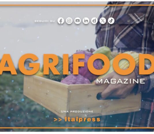 TG News Italpress – AGRIFOOD del 18 settembre – Spreco alimentare: il 50% del cibo finisce nella spazzatura … e molto altro – (Video)