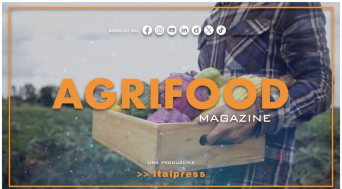 TG News Italpress – AGRIFOOD del 18 settembre – Spreco alimentare: il 50% del cibo finisce nella spazzatura … e molto altro – (Video)