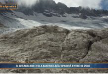 TG News ambiente del 15 settembre. In questo numero: Forum Cernobbio e molto altro(Video)