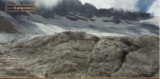 TG News ambiente del 15 settembre. In questo numero: Forum Cernobbio e molto altro(Video)