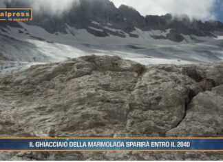 TG News ambiente del 15 settembre. In questo numero: Forum Cernobbio e molto altro(Video)