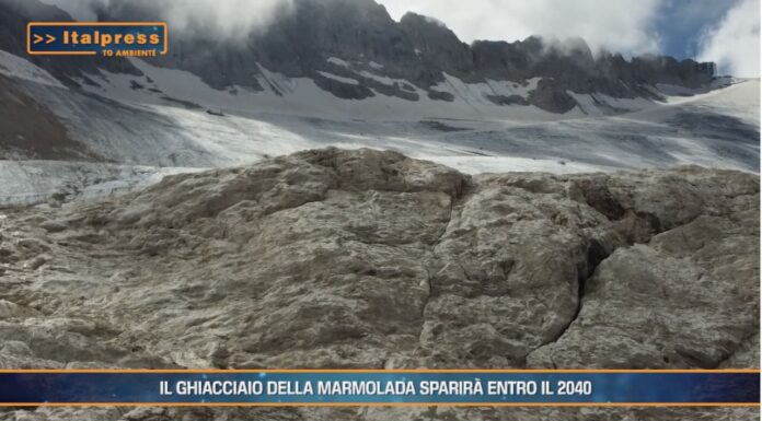 TG News ambiente del 15 settembre. In questo numero: Forum Cernobbio e molto altro(Video)