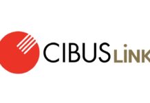 Cibus Link: la nuova voce dell’agroalimentare Made in Italy nel mondo