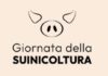 La suinicoltura italiana nella morsa della Peste Suina Africana