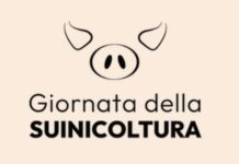 La suinicoltura italiana nella morsa della Peste Suina Africana