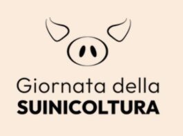 La suinicoltura italiana nella morsa della Peste Suina Africana