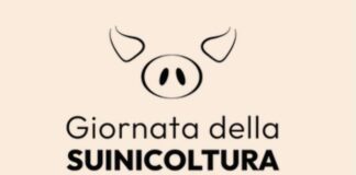 La suinicoltura italiana nella morsa della Peste Suina Africana