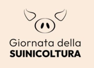 La suinicoltura italiana nella morsa della Peste Suina Africana