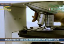 TG AGRIFOOD del 23 ottobre –  in 9 mesi oltre 2.300 interventi anti contraffazione … – (Video)