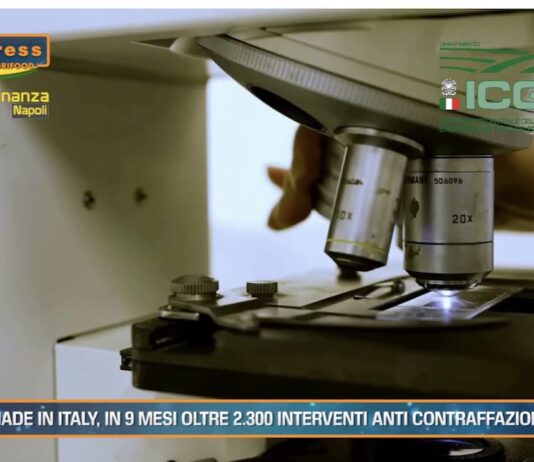 TG AGRIFOOD del 23 ottobre – in 9 mesi oltre 2.300 interventi anti contraffazione … – (Video)