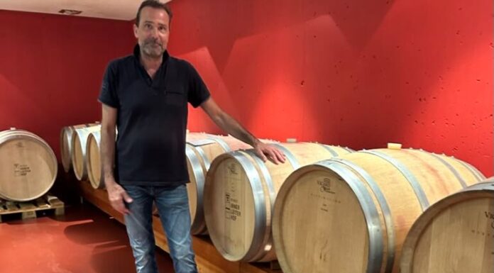 Reportage tra Vignaioli e Cantine del Burgraviato 11° capitolo