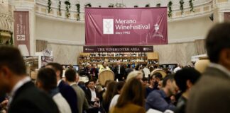Le Stelle del Merano Wine Festival