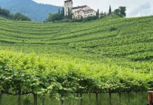 Cantine Oberstein Joachim Wolf
