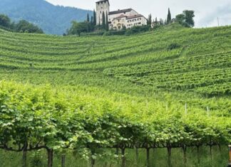 Cantine Oberstein Joachim Wolf