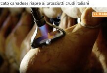 TG news del 15 ottobre – Il mercato canadese riapre ai prosciutti crudi italiani… – (Video)