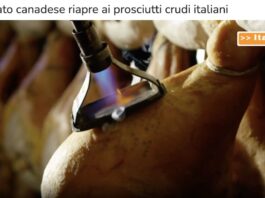 TG news del 15 ottobre – Il mercato canadese riapre ai prosciutti crudi italiani… – (Video)
