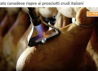 TG news del 15 ottobre – Il mercato canadese riapre ai prosciutti crudi italiani… – (Video)