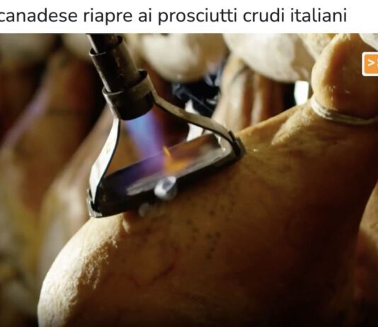TG news del 15 ottobre – Il mercato canadese riapre ai prosciutti crudi italiani… – (Video)