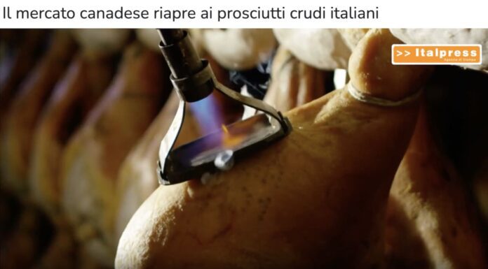TG news del 15 ottobre – Il mercato canadese riapre ai prosciutti crudi italiani… – (Video)