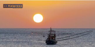 TG News Italpress – TG AMBIENTE del 13 ottobre –  Rinnovabili, in arrivo oltre un miliardo di euro … – (Video)