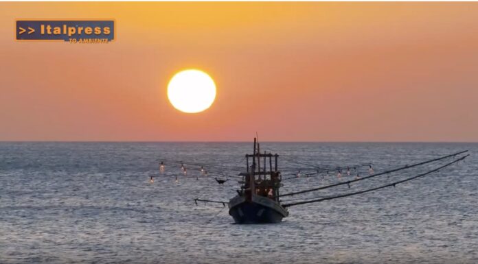 TG News Italpress – TG AMBIENTE del 13 ottobre – Rinnovabili, in arrivo oltre un miliardo di euro … – (Video)