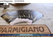 TG News Italpress – AGRIFOOD del 2 ottobre –  G7 Agricoltura, da Parmigiano Reggiano un documento contro il protezionismo … e molto altro – (Video)