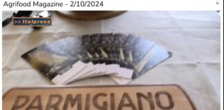 TG News Italpress – AGRIFOOD del 2 ottobre –  G7 Agricoltura, da Parmigiano Reggiano un documento contro il protezionismo … e molto altro – (Video)