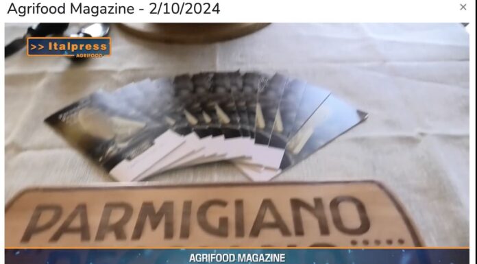 TG News Italpress – AGRIFOOD del 2 ottobre – G7 Agricoltura, da Parmigiano Reggiano un documento contro il protezionismo … e molto altro – (Video)