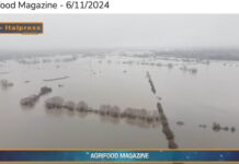 TG AGRIFOOD del 6 novembre – Dall’Europa un miliardo per i danni da maltempo in agricoltura … – (Video)