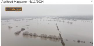 TG AGRIFOOD del 6 novembre – Dall’Europa un miliardo per i danni da maltempo in agricoltura … – (Video)