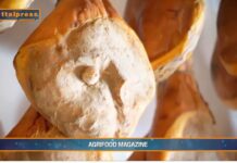 TG AGRIFOOD del 20 novembre – Il Canada riapre ai prosciutti crudi italiani – (Video)