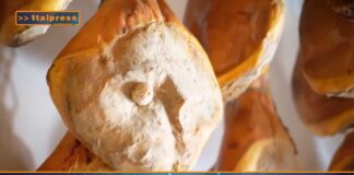 TG AGRIFOOD del 20 novembre – Il Canada riapre ai prosciutti crudi italiani – (Video)