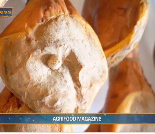 TG AGRIFOOD del 20 novembre – Il Canada riapre ai prosciutti crudi italiani – (Video)