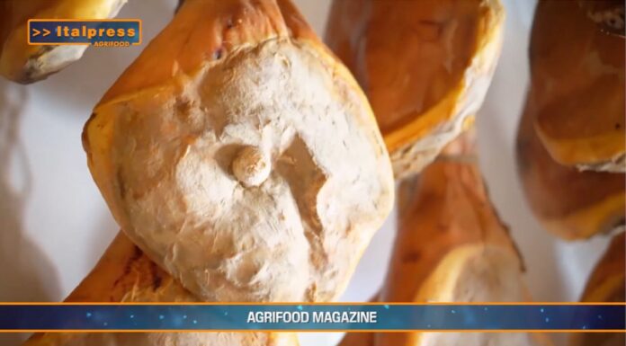 TG AGRIFOOD del 20 novembre – Il Canada riapre ai prosciutti crudi italiani – (Video)