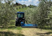 EIMA 2024. Nuove trince per sarmenti di potatura nel vigneto-frutteto BVL SERIE 100