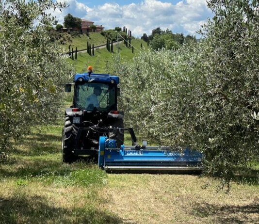 EIMA 2024. Nuove trince per sarmenti di potatura nel vigneto-frutteto BVL SERIE 100