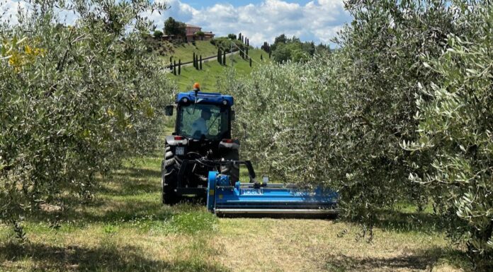 EIMA 2024. Nuove trince per sarmenti di potatura nel vigneto-frutteto BVL SERIE 100