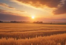 “Cereali e dintorni”. L’A.I. immagina il post elezioni USA