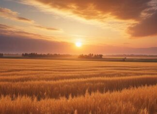 “Cereali e dintorni”. L’A.I. immagina il post elezioni USA