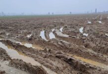 Maltempo e cambiamenti climatici. L’impegno di ASIPO Sac.