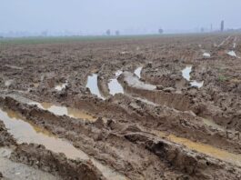 Maltempo e cambiamenti climatici. L’impegno di ASIPO Sac.