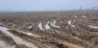 Maltempo e cambiamenti climatici. L’impegno di ASIPO Sac.