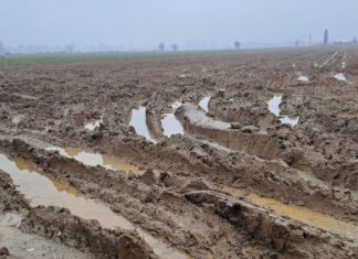 Maltempo e cambiamenti climatici. L’impegno di ASIPO Sac.