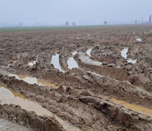 Maltempo e cambiamenti climatici. L’impegno di ASIPO Sac.