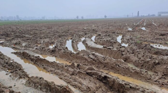 Maltempo e cambiamenti climatici. L’impegno di ASIPO Sac.